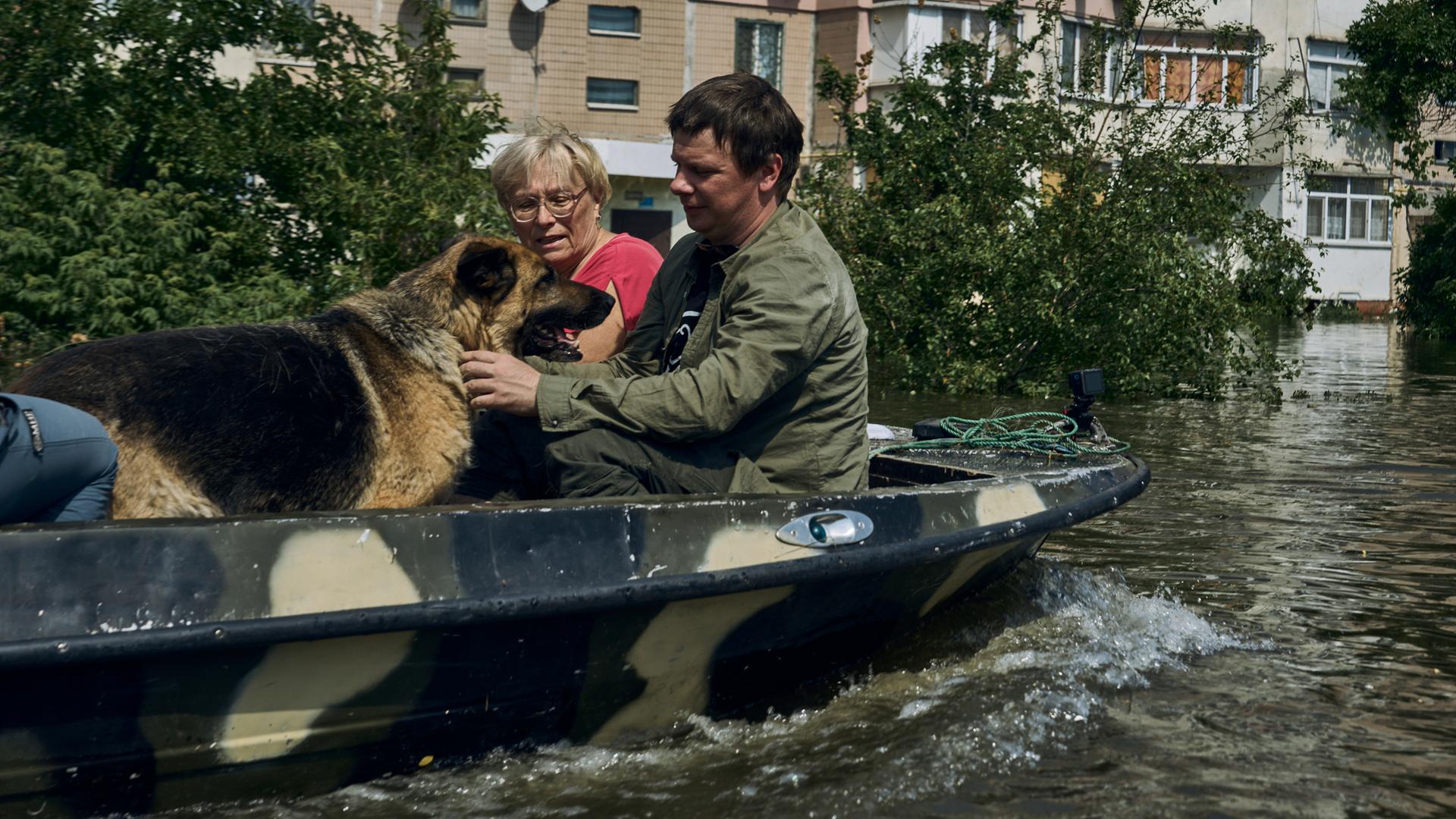 Ein Mann und eine Frau sitzen mit ihrem Hund in einem Boot und werden aus ihrem Stadtteil in Sicherheit gebracht.