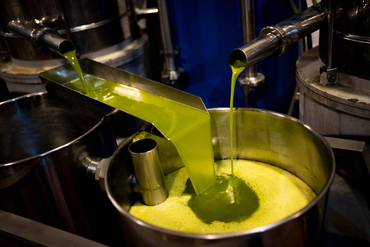 Olivenöl wird abgefüllt, die Preise sind zuletzt stark gestiegen