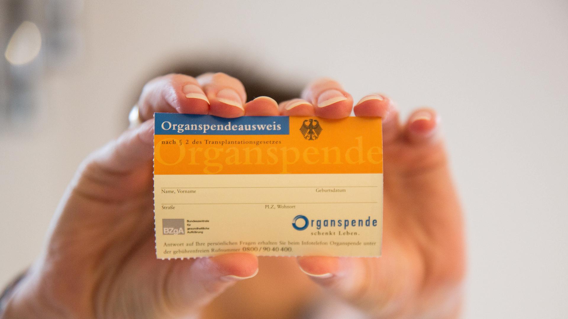 Eine Person hält einen Organspendeausweis in den Händen. Eine Person hält einen Organspendeausweis in den Händen.