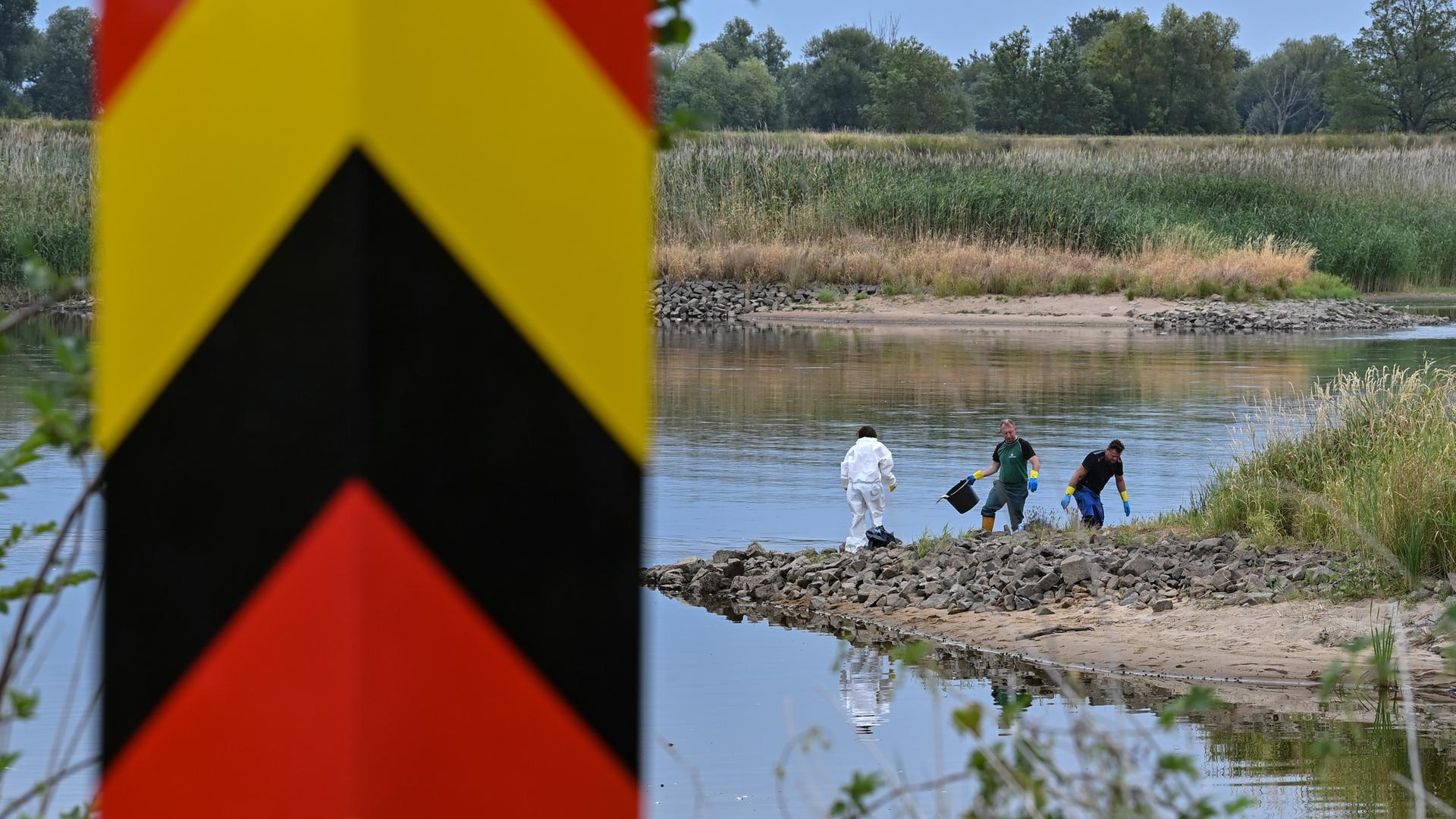 Hinter einem Grenzpfeiler am deutsch-polnischen Grenzfluss Oder bergen freiwillige Helfer tote Fische aus dem Wasser. Hinter einem Grenzpfeiler am deutsch-polnischen Grenzfluss Oder bergen freiwillige Helfer tote Fische aus dem Wasser.
