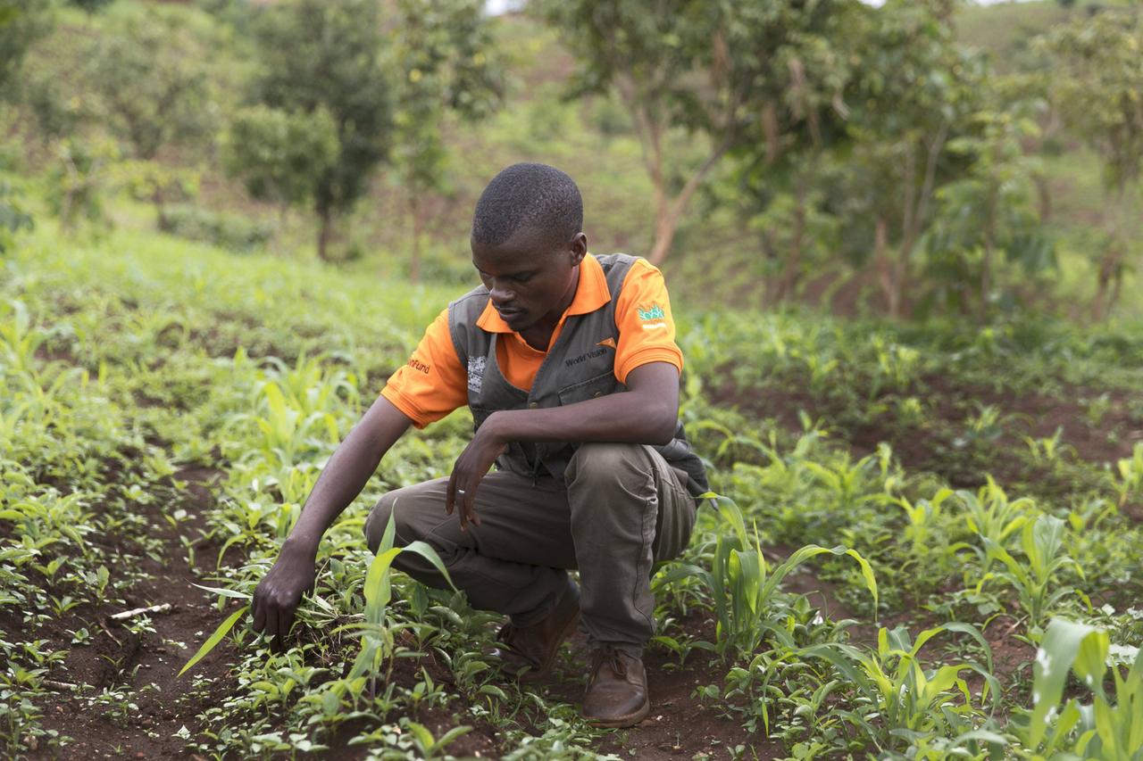 Ein Bauer jähtet in einem Landwirtschaftsprojekt der Organisation World Vision bei Nkhoma in Malawi.