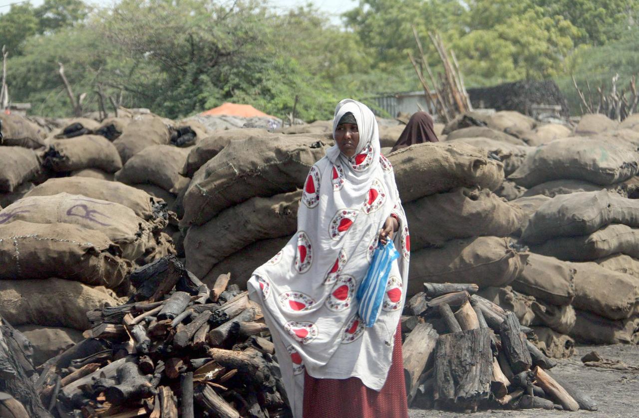 Eine Frau in Somalia vor Säcken mit Holzkohle. ++ Eine Frau in Somalia vor Säcken mit Holzkohle. ++