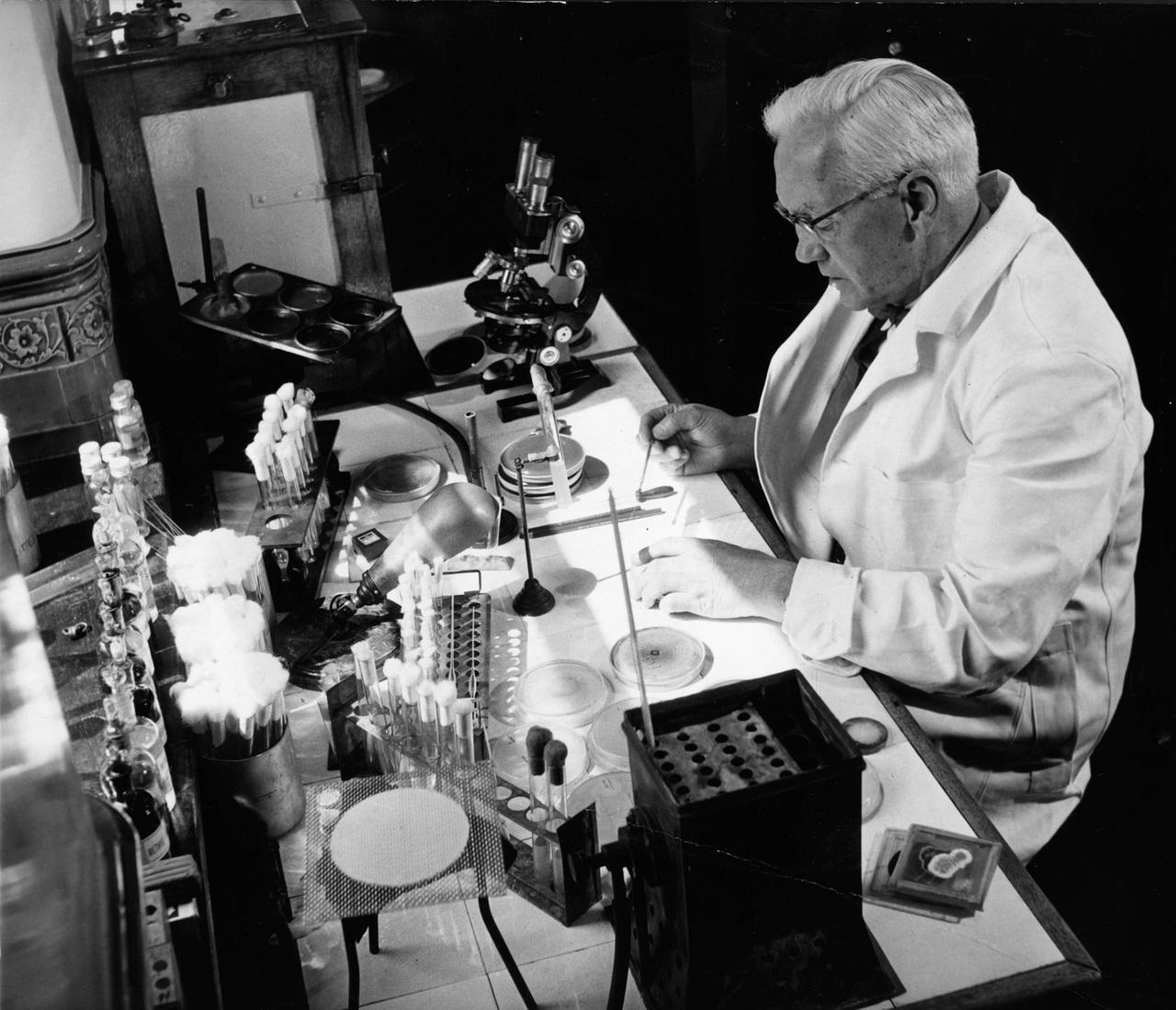 Alexander Fleming, der Entdecker des Penicillin, arbeitet in seinem Labor, 1960.
