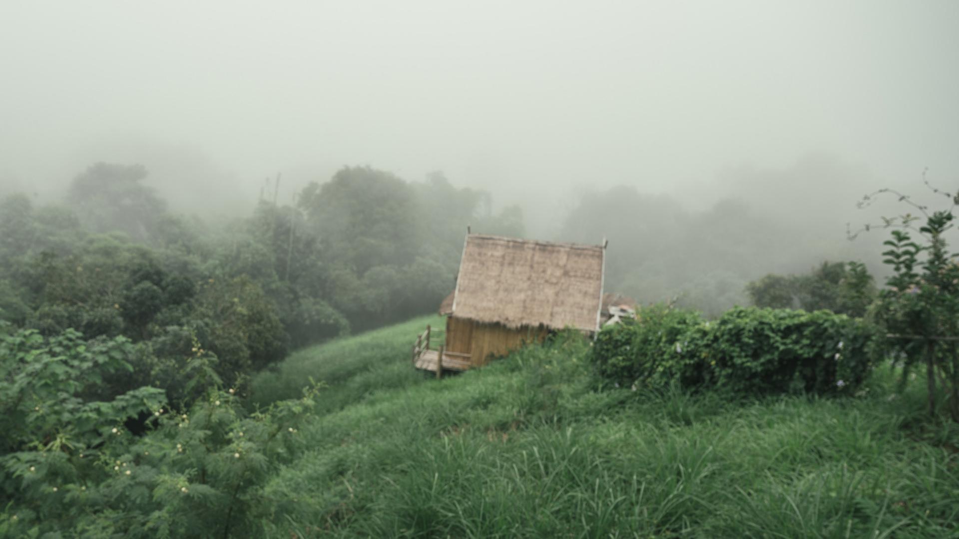Abseits der Dorfgemeinschaft leben Olessja und ihre Mutter in einem Wald. Abseits der Dorfgemeinschaft leben Olessja und ihre Mutter in einem Wald.