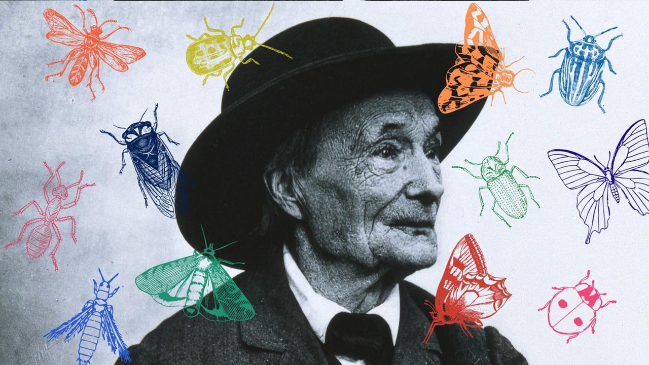 Collage vom Portrait Jean-Henri Fabre mit Insekten. Collage vom Portrait Jean-Henri Fabre mit Insekten.