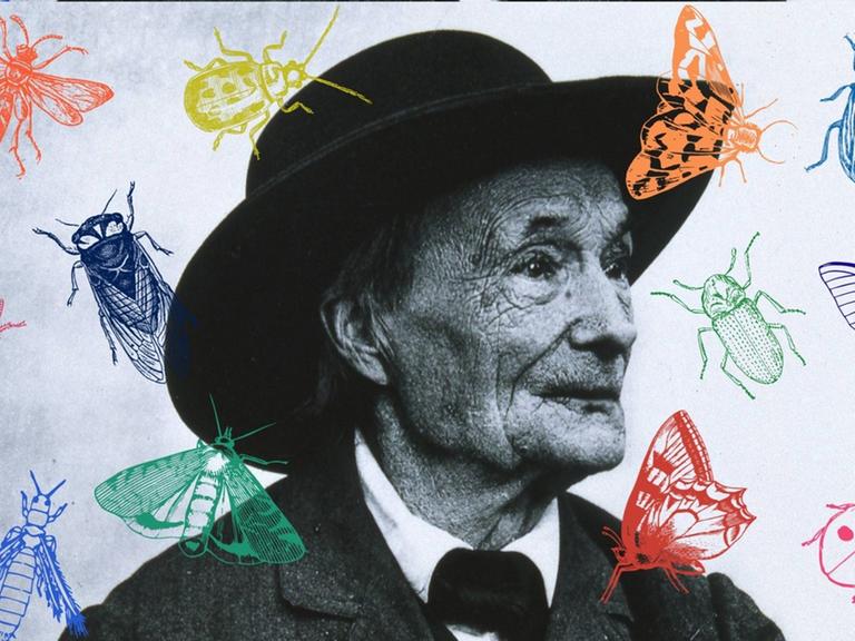 Collage vom Portrait Jean-Henri Fabre mit Insekten. 