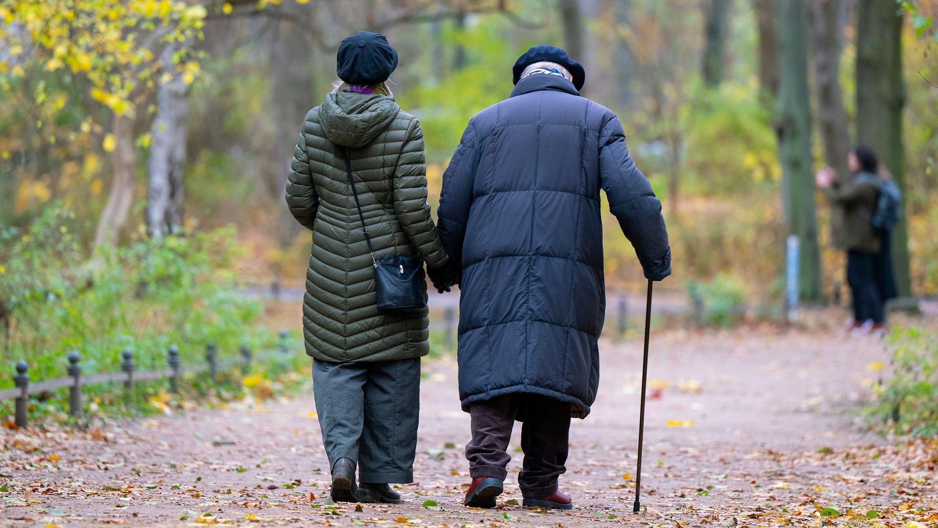 Ein älterer Mann mit einem Gehstock und seine Begleitung spazieren durch den herbstlichen Tiergarten in Berlin-Mitte Ein älterer Mann mit einem Gehstock und seine Begleitung spazieren durch den herbstlichen Tiergarten in Berlin-Mitte