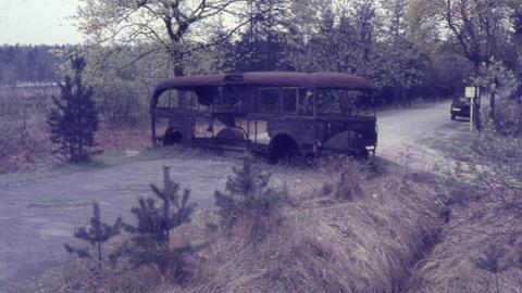 Zu sehen: ein ausgebrannter Bus im Wald bei Helmstedt. 