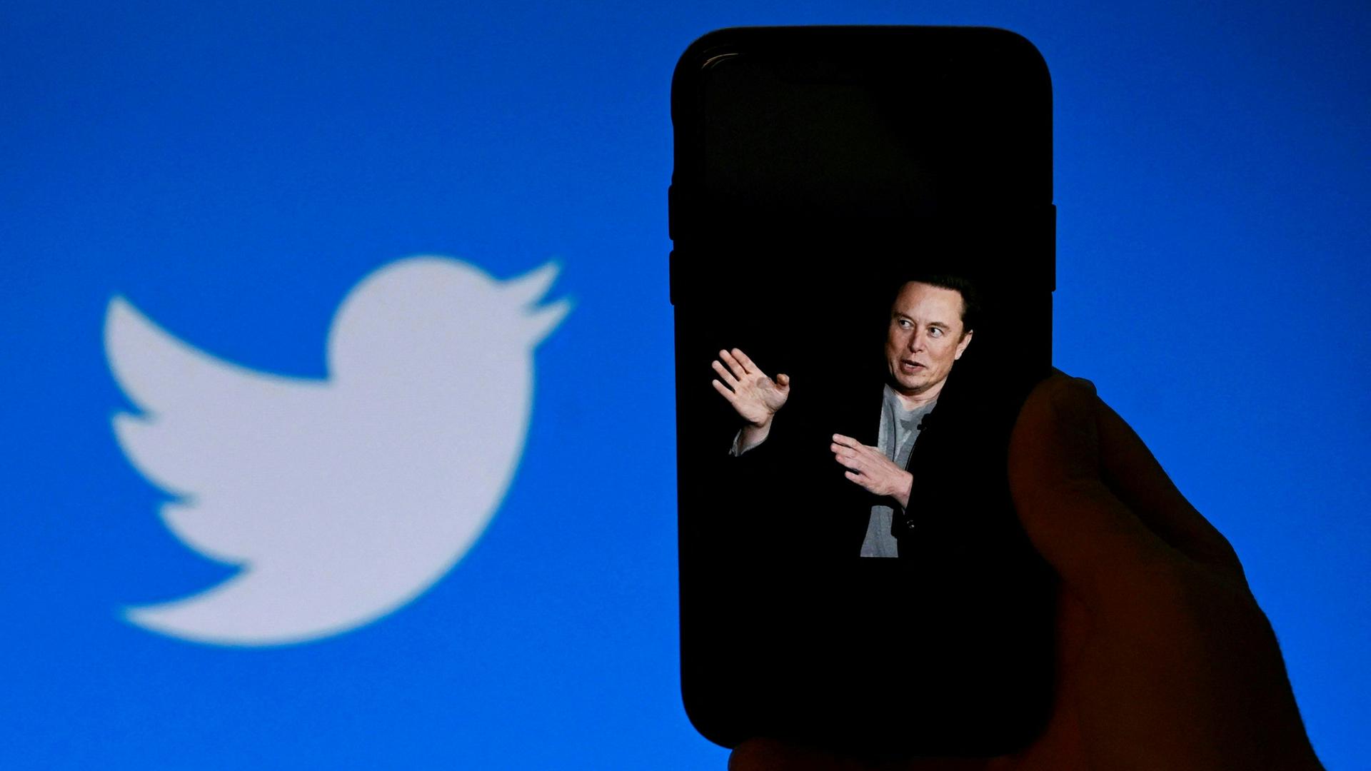 Elon Musk auf dem Display eines Smartphones, daneben das Twitterlogo. Elon Musk auf dem Display eines Smartphones, daneben das Twitterlogo.