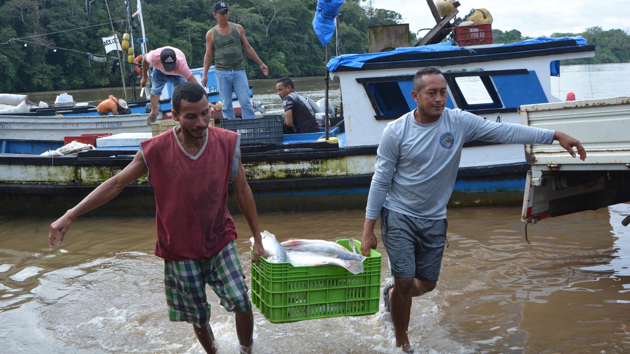 Fischer tragen im Hafen Coquira einen mit Fischen gefüllten Plastikkorb vom Boot aus an Land Fischer tragen im Hafen Coquira einen mit Fischen gefüllten Plastikkorb vom Boot aus an Land
