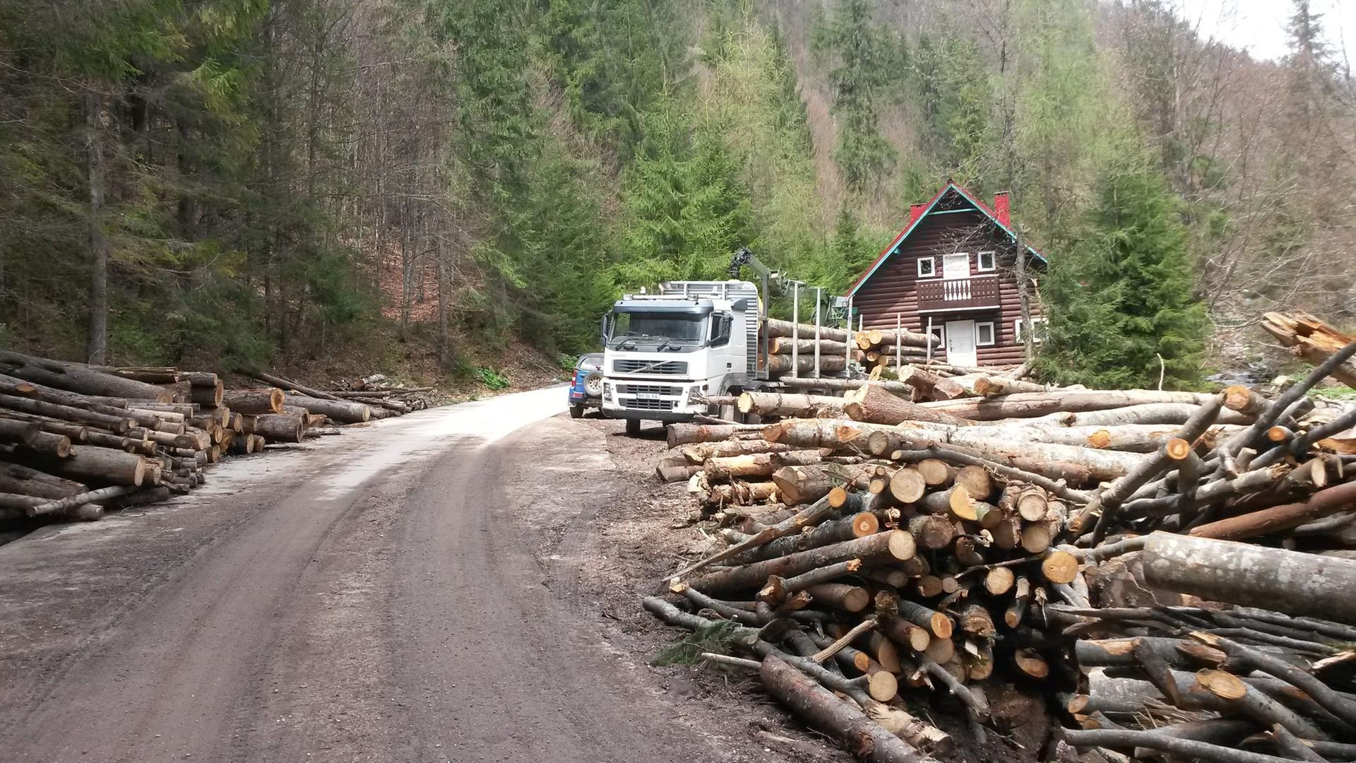 Ein Lastwagen fährt Holz in Rumänien ab. Im Vordergrund abgeschlagene Holzstämme. Ein Lastwagen fährt Holz in Rumänien ab. Im Vordergrund abgeschlagene Holzstämme.