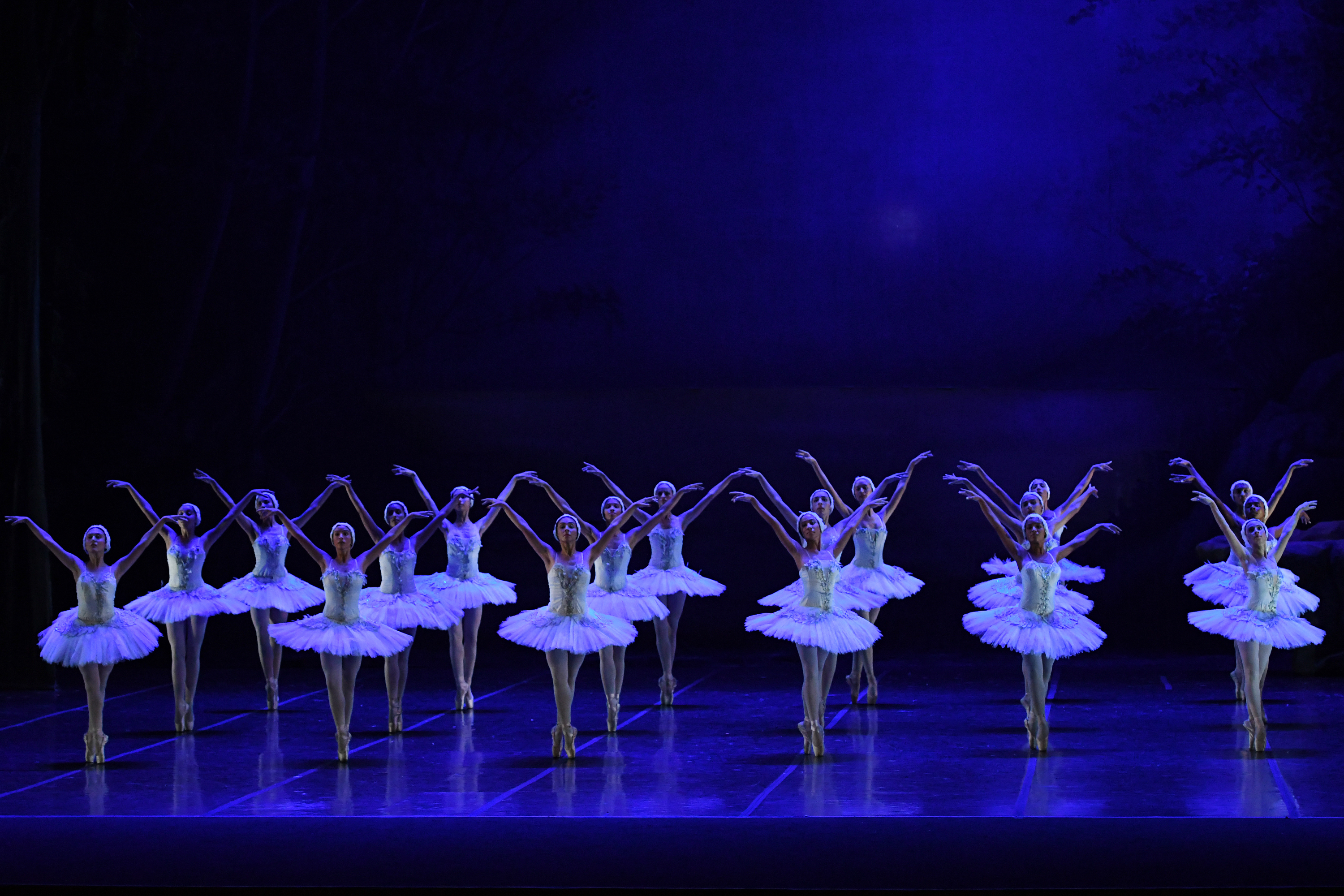 Tänzerinnen stehen in weißem Tütü in Reihen auf einer Bühne, während der Generalprobe zum Ballett "Schwanensee" im Theatro Municipal in Rio.