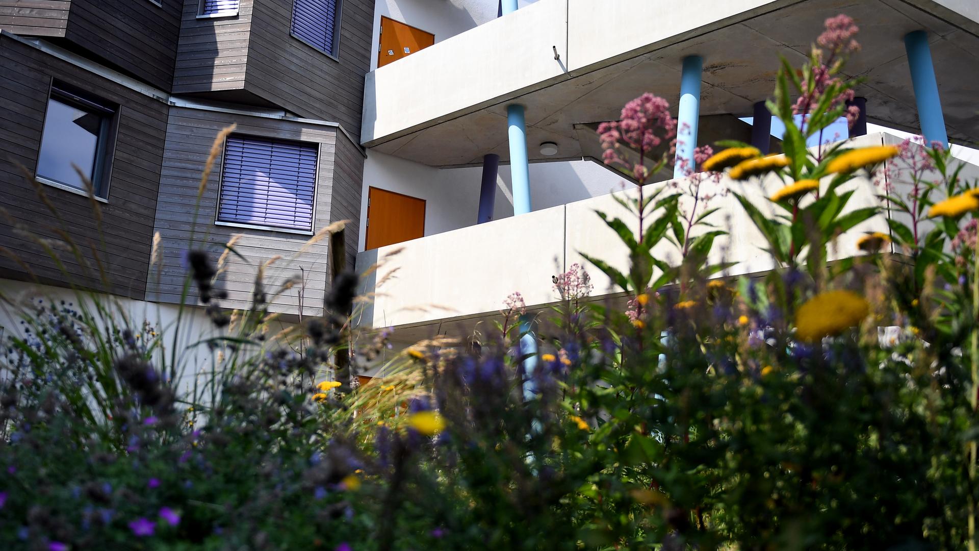 Mit Blumen bepflanzte Rigolen sorgen im Studentendorf am Wissenschafts- und Wirtschaftsstandort Adlershof in Berlin für Reinigung und Ablauf von Regenwasser. Mit Blumen bepflanzte Rigolen sorgen im Studentendorf am Wissenschafts- und Wirtschaftsstandort Adlershof in Berlin für Reinigung und Ablauf von Regenwasser.