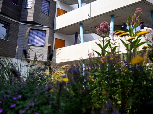 Mit Blumen bepflanzte Rigolen sorgen im Studentendorf am Wissenschafts- und Wirtschaftsstandort Adlershof in Berlin für Reinigung und Ablauf von Regenwasser.