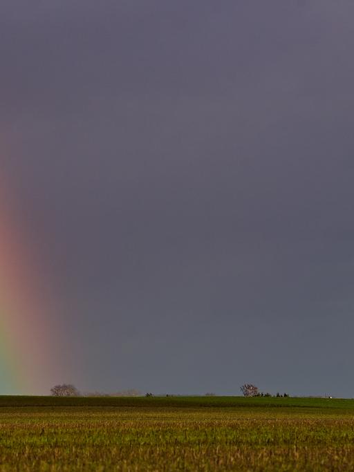 Zwei Windenergieanlagen stehen auf einem Feld, während sich daneben ein Regenbogen vor dunklen Himmel abzeichnet. 