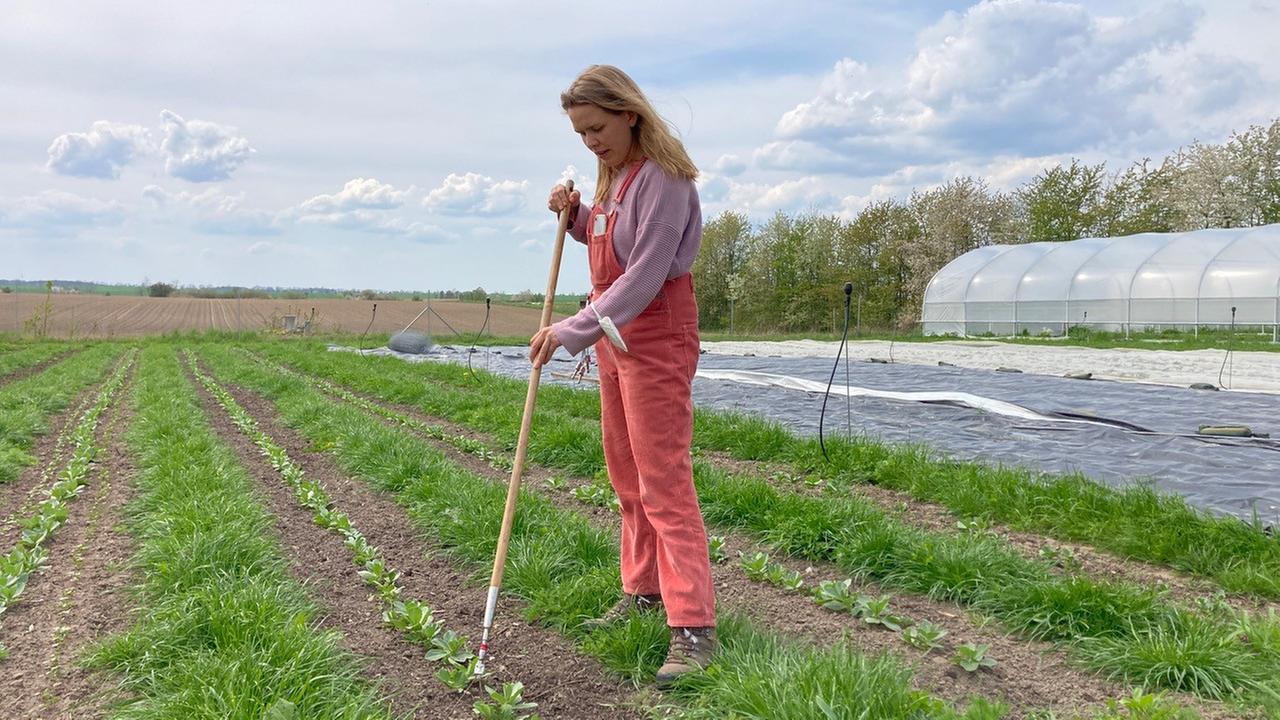 Eine Frau in rosa Latzhose mit Hake in einem Gemüsebeet. Eine Frau in rosa Latzhose mit Hake in einem Gemüsebeet.