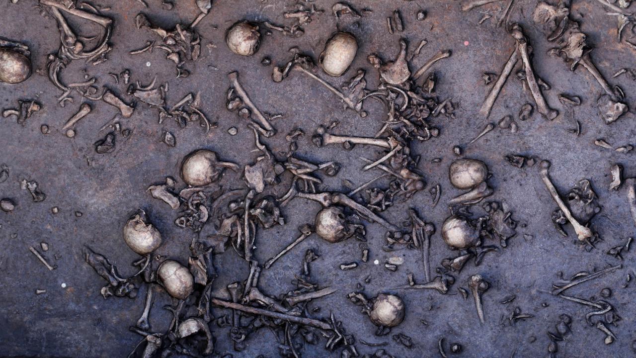 Ausschnitt aus der Fundschicht im Tollensetal. Die dicht an dicht liegenden Menschenknochen und Schädel lassen den Eindruck entstehen, hier habe eine dramatische Schlacht stattgefunden. Für die wissenschaftliche Interpretation müssen jedoch auch andere Szenarien in Betracht gezogen werden. Ausschnitt aus der Fundschicht im Tollensetal. Die dicht an dicht liegenden Menschenknochen und Schädel lassen den Eindruck entstehen, hier habe eine dramatische Schlacht stattgefunden. Für die wissenschaftliche Interpretation müssen jedoch auch andere Szenarien in Betracht gezogen werden.
