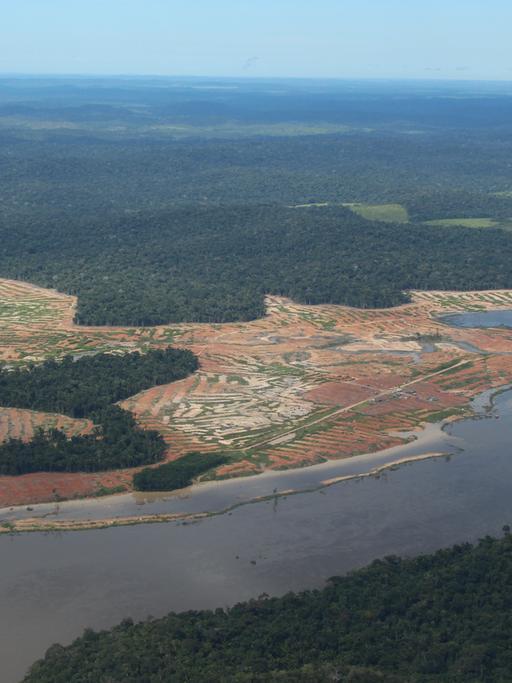 Entwaldete Waldflächen am Rande des Juruena-Nationalpark im Amazonas-Regenwald in Brasilien