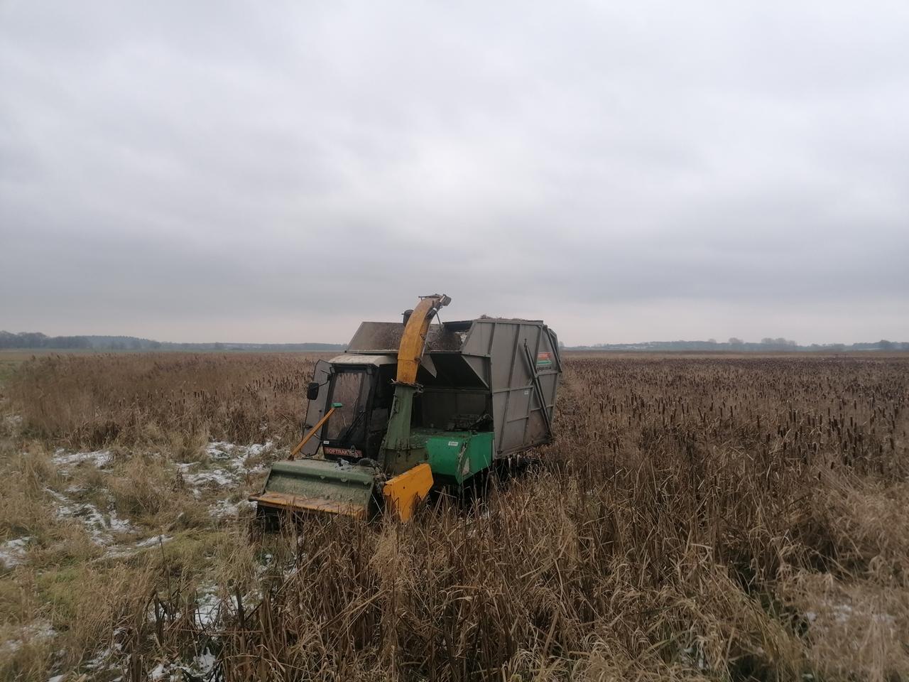 Erntemaschine in einem Schilffeld Erntemaschine in einem Schilffeld