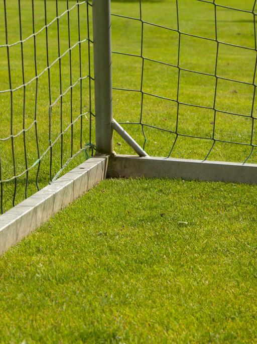 Fußballtor auf Rasen