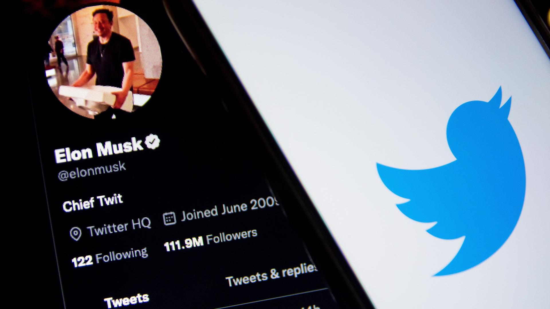 Auf einem Handybildschirm ist der Twitter-Account von Elon Musk zu sehen, daneben das Logo des Kurznachrichtendienstes Twitter