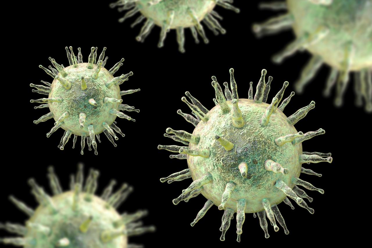 Eine Mikroskop-Aufnahme des Epstein-Barr Virus. Eine Mikroskop-Aufnahme des Epstein-Barr Virus.