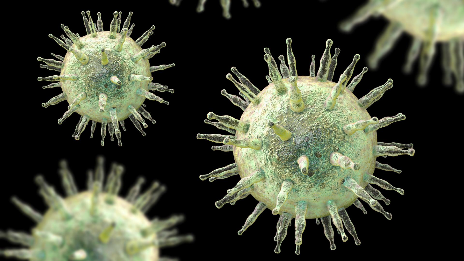 Eine Mikroskop-Aufnahme des Epstein-Barr Virus. Eine Mikroskop-Aufnahme des Epstein-Barr Virus.