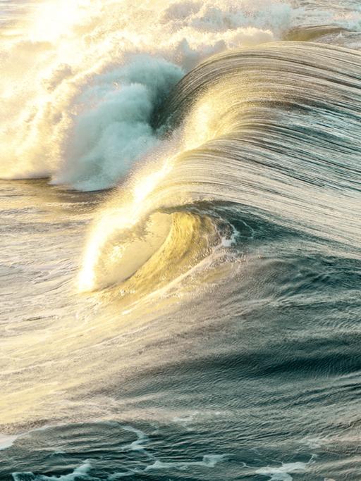 Eine sich überschlagende Welle leuchtet gelblich im Sonnenuntergang.