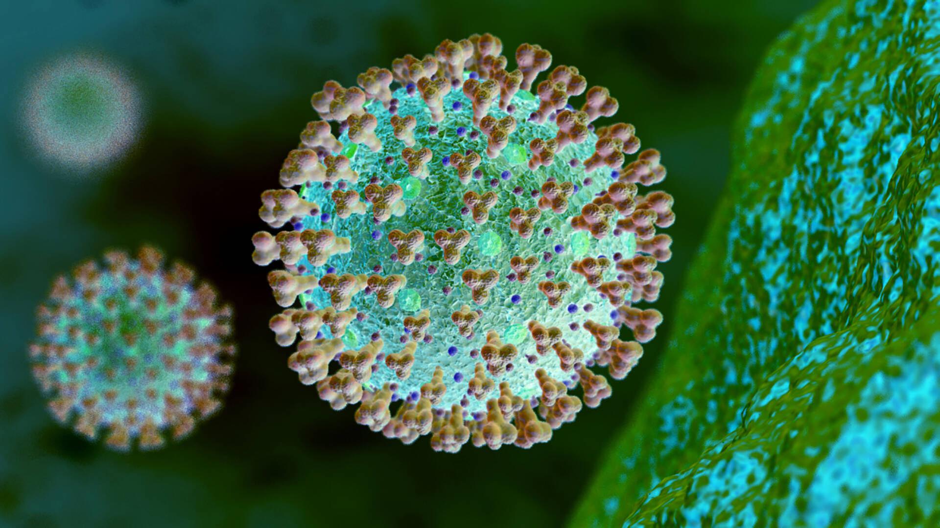 Grafik, Mikroskopische Ansicht Coronavirus Grafik, Mikroskopische Ansicht Coronavirus