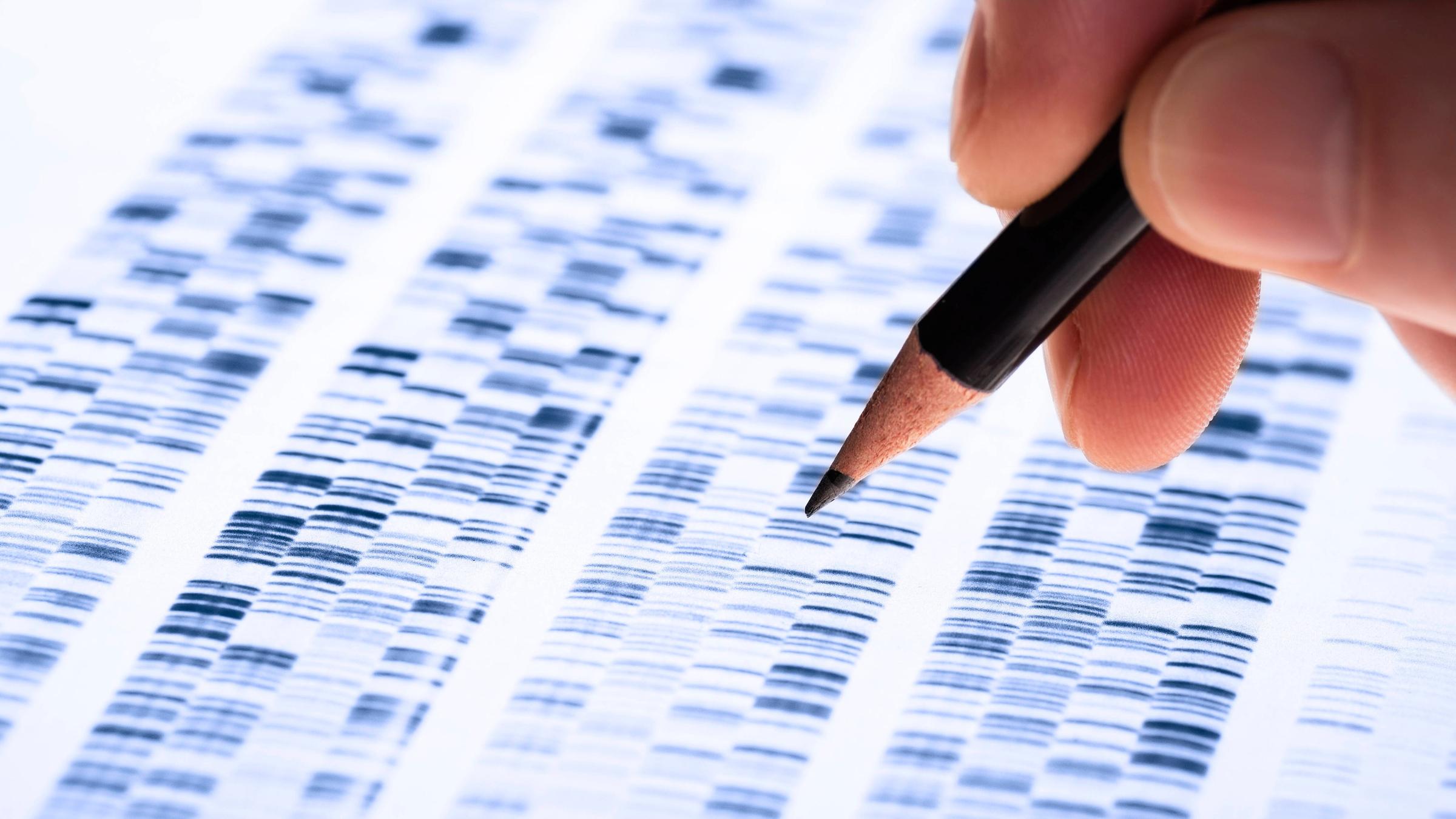 Ein Wissenschaftler untersucht DNA-Gel, das in der Genetik, Forensik, Pharmaforschung, Biologie und Medizin Anwendung findet. 