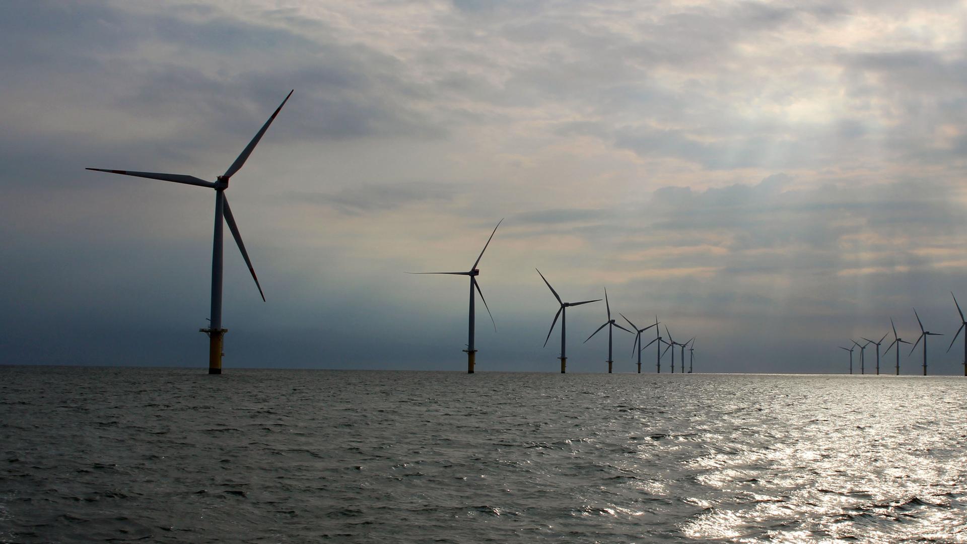 Windpark an der Nordseeküste Windpark an der Nordseeküste