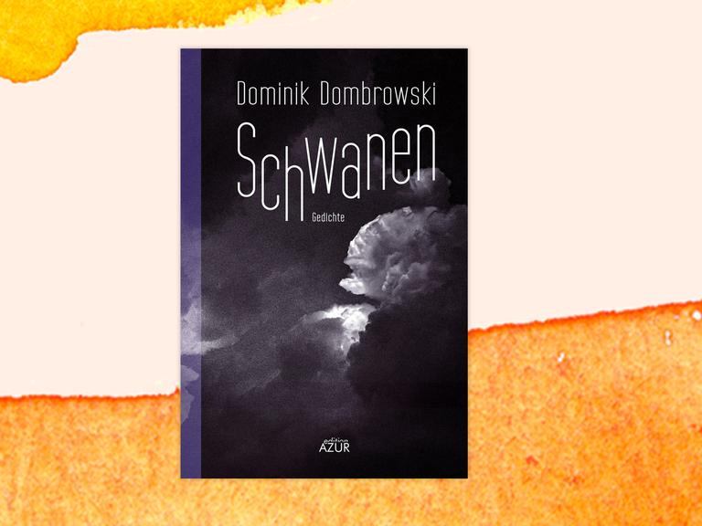 Das Cover des Buches von Dominik Dombrowski, "Schwanen", auf einem orange-weißem Aquarellhintergrund. 