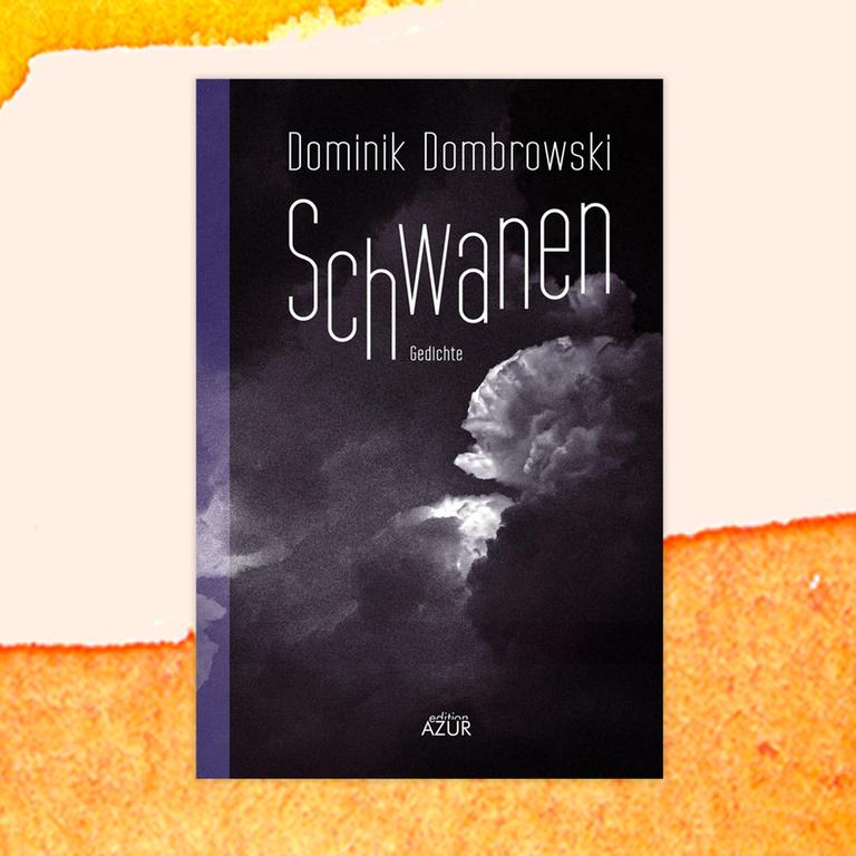 Dominik Dombrowski: „Schwanen“ – Zwischen Kneipen-Metaphysik und Kinematografie
