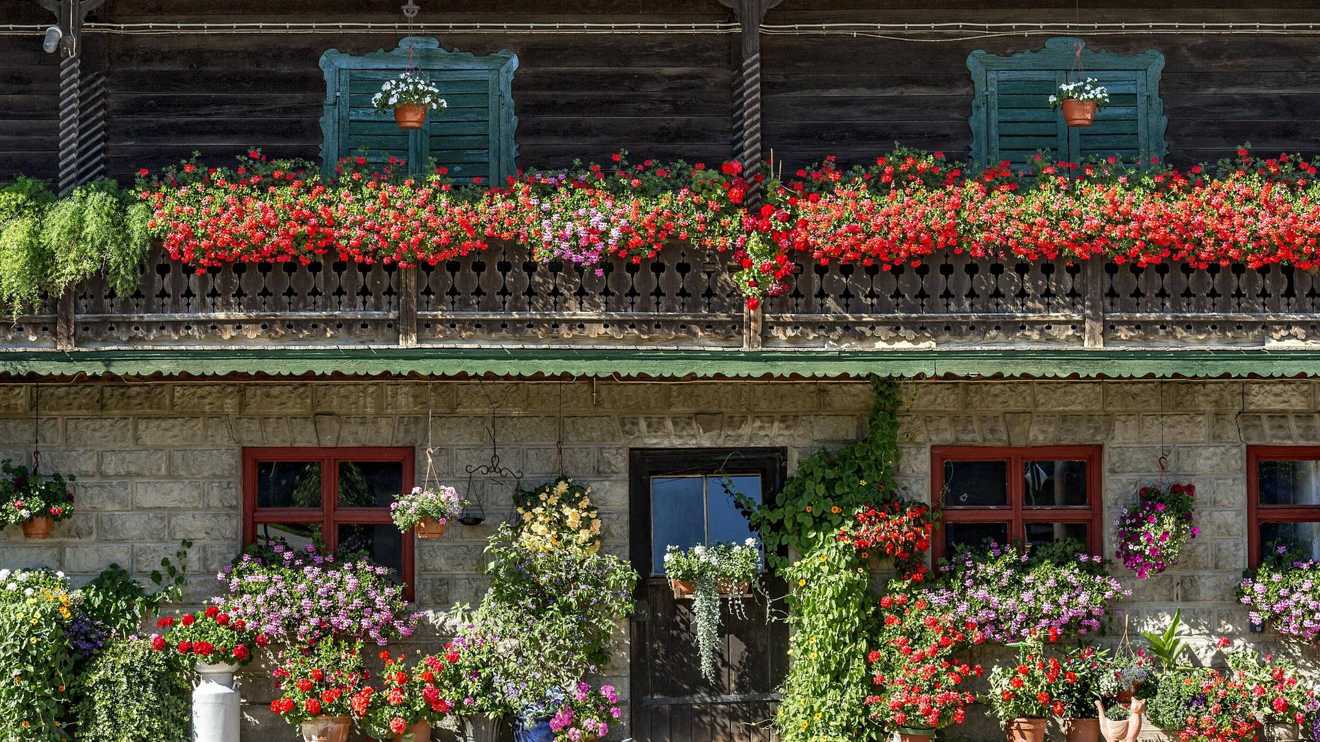 Altes Bauernhaus in Holzbauweise, Balkon und Front mit Geranien bepflanzt in Isarwinkel, Oberbayern