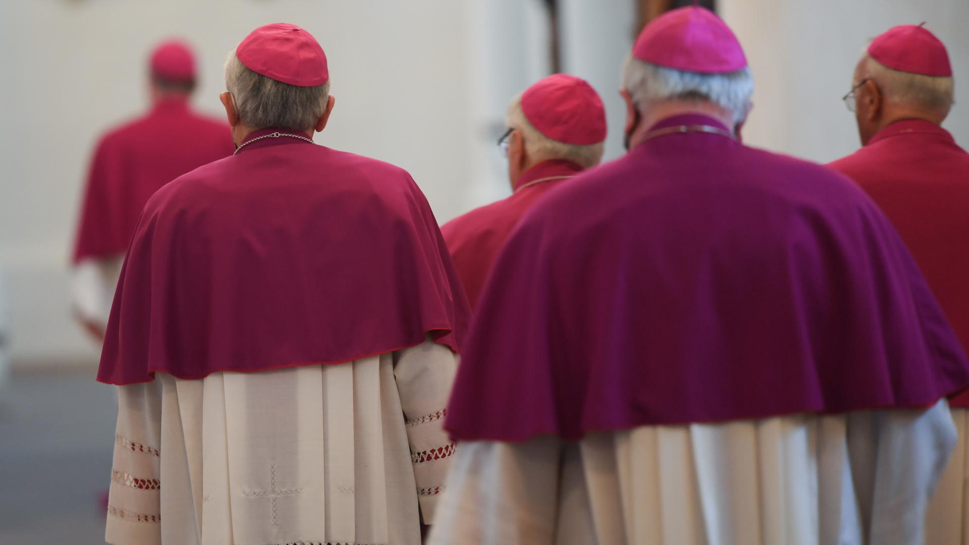 Mehrere Bischöfe in ihrem rosa-weißen Gewand von hinten. Mehrere Bischöfe in ihrem rosa-weißen Gewand von hinten.