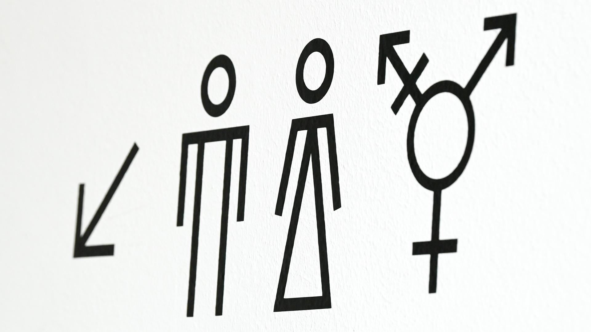 Ein Piktogramm für Unisex-Toiletten, das auf die Geschlechter Männer, Frauen und Allgender/Transgender hinweist Ein Piktogramm für Unisex-Toiletten, das auf die Geschlechter Männer, Frauen und Allgender/Transgender hinweist
