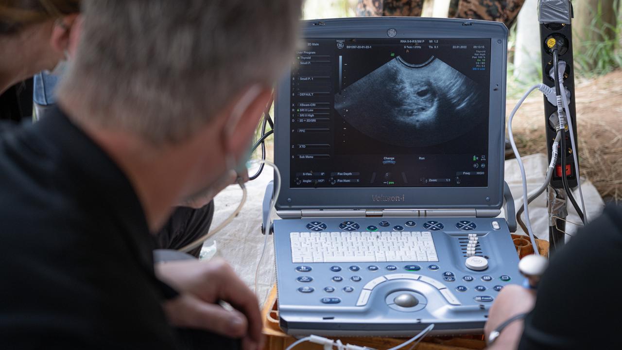 Die Forscher sehen die Bilder der Ultraschallsonde aus dem Nashorn-Uterus auf einem Spezial-Laptop an Die Forscher sehen die Bilder der Ultraschallsonde aus dem Nashorn-Uterus auf einem Spezial-Laptop an