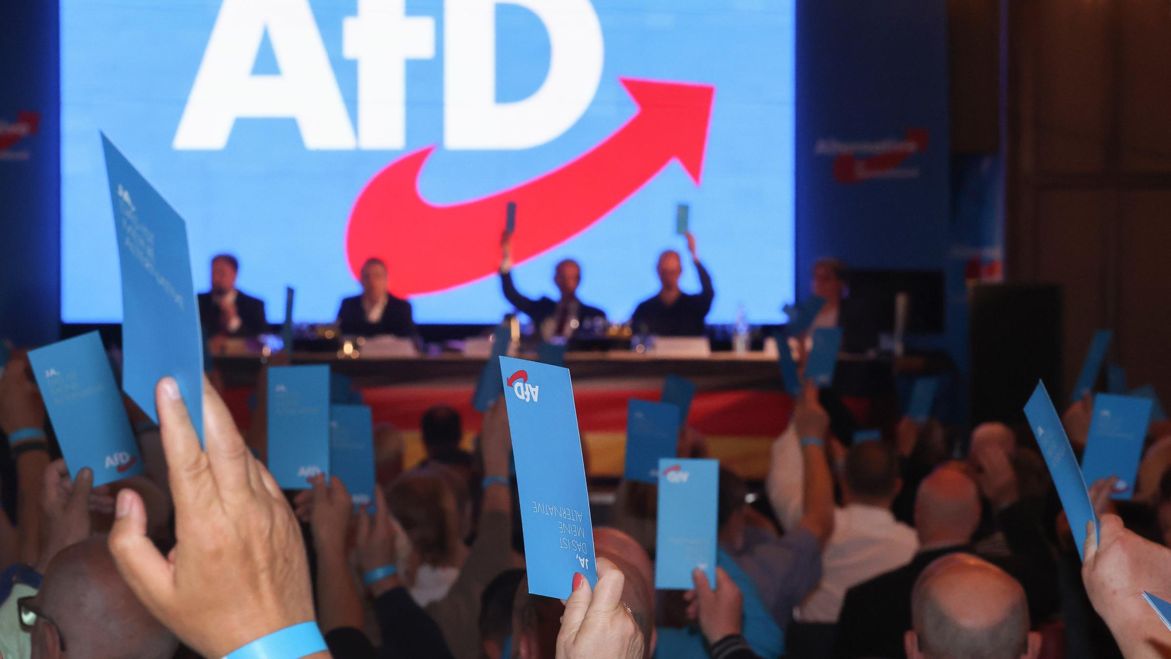 Delegierte stimmen mit ihrer Stimmkarte beim Landesparteitag der AfD ab. 