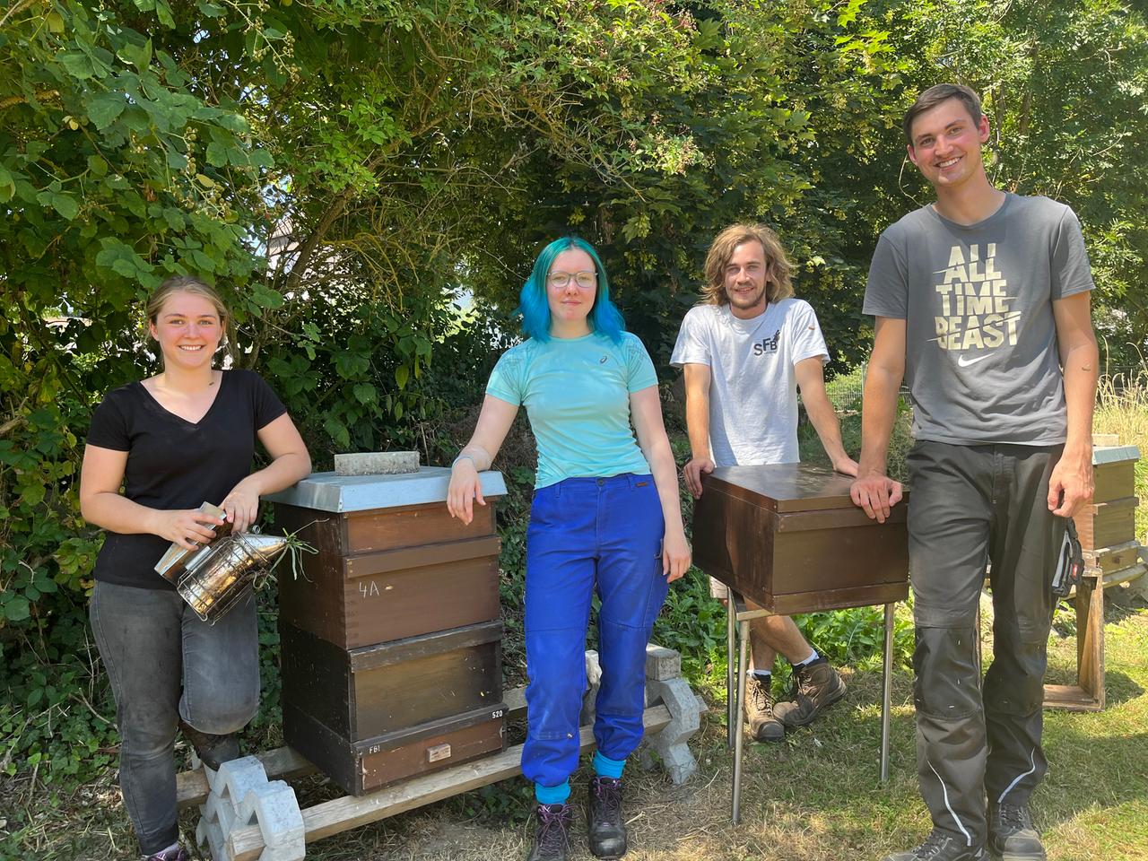 Vier junge Menschen vor Bienenstöcken