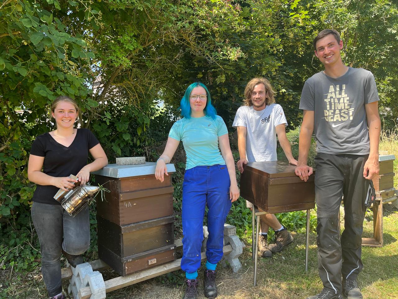 Vier junge Menschen vor Bienenstöcken Vier junge Menschen vor Bienenstöcken