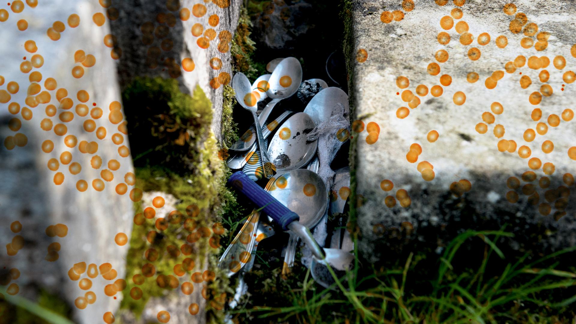 Zwischen zwei Grabsteinen liegen Löffel auf einer Wiese. Die Fotografie wird überlagert von einer Grafik aus orangen Punkten.