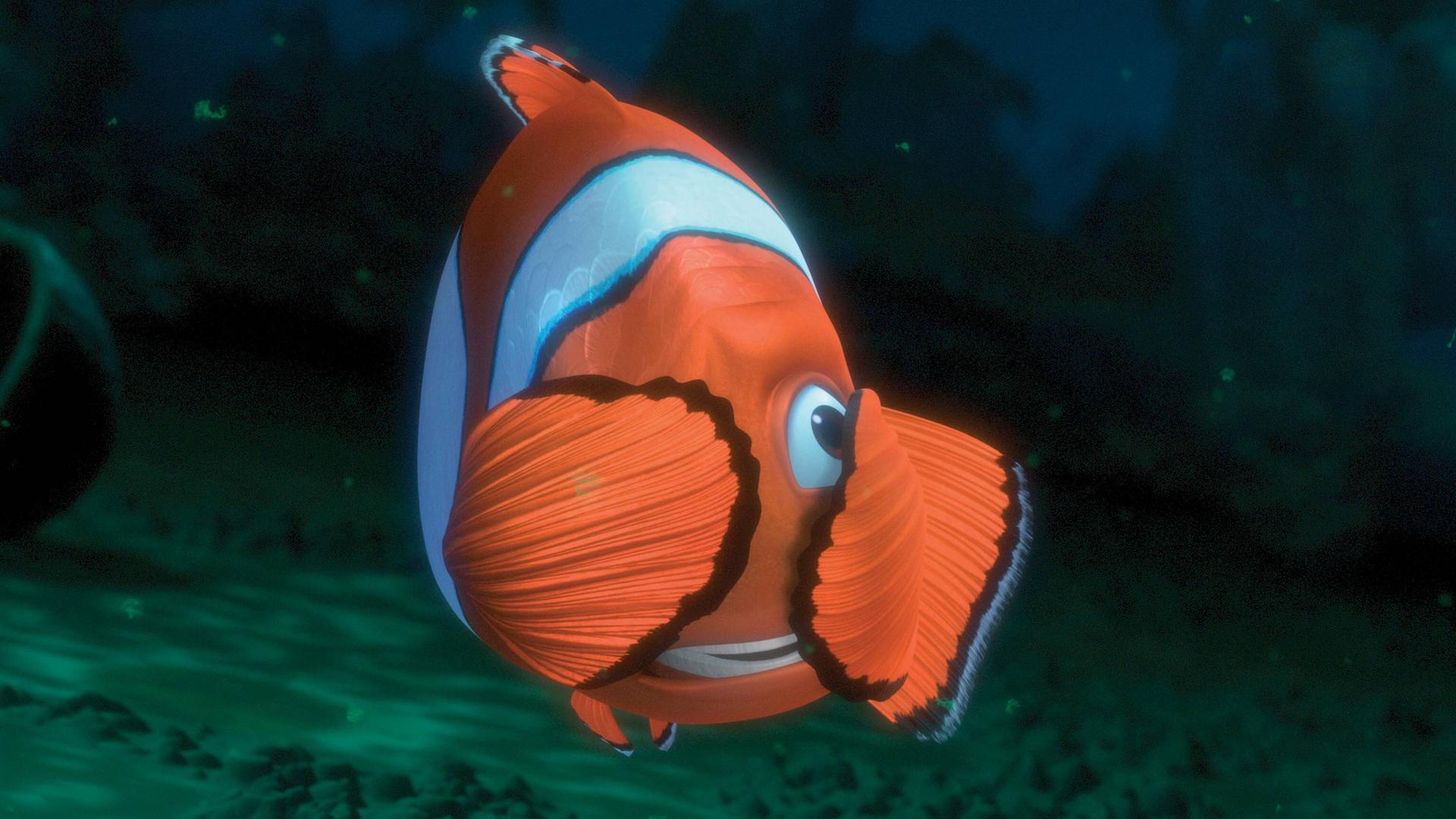 20 Jahre "Findet Nemo" : Tiere vermenschlichen als Weg zu mehr Tierverständnis