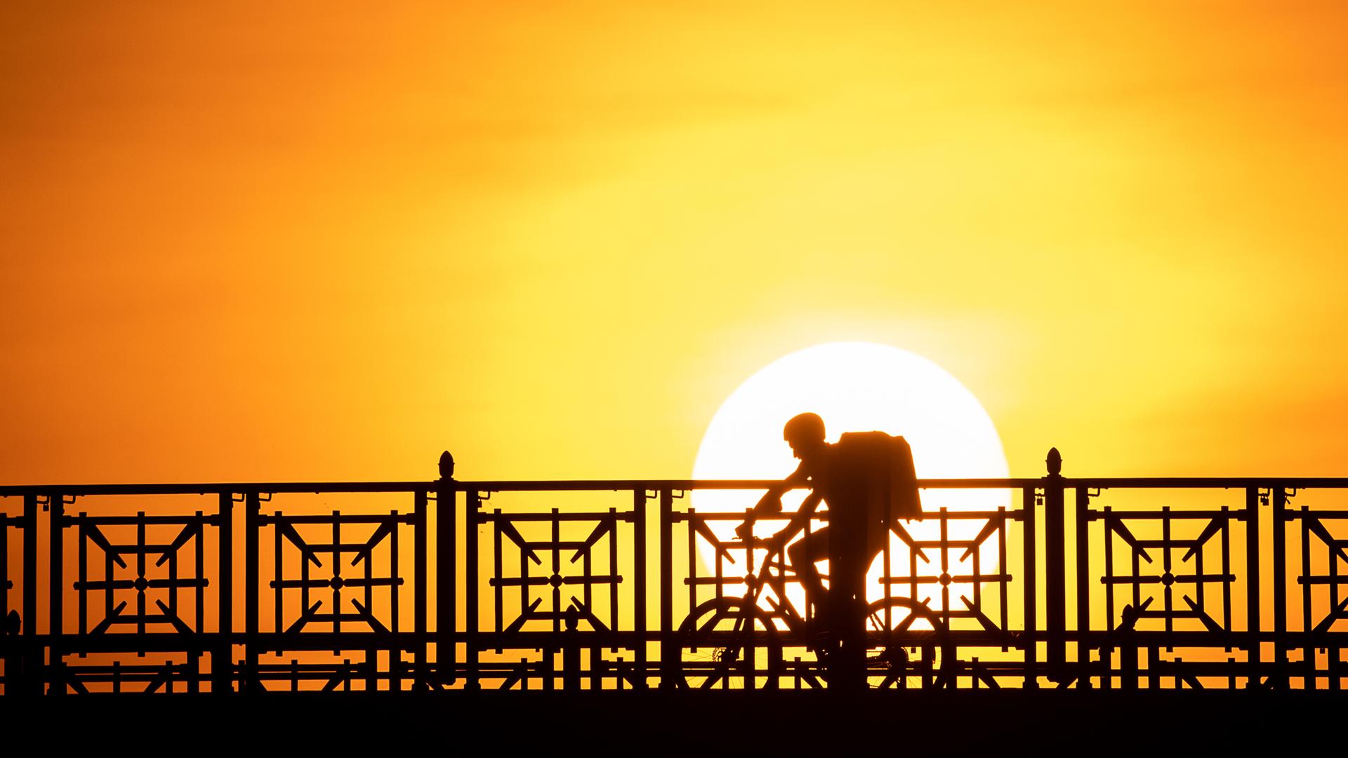 Der Fahrer eines Lieferdiensts fährt über die Theodor-Heuss-Brücke. Der Fahrer eines Lieferdiensts fährt über die Theodor-Heuss-Brücke.