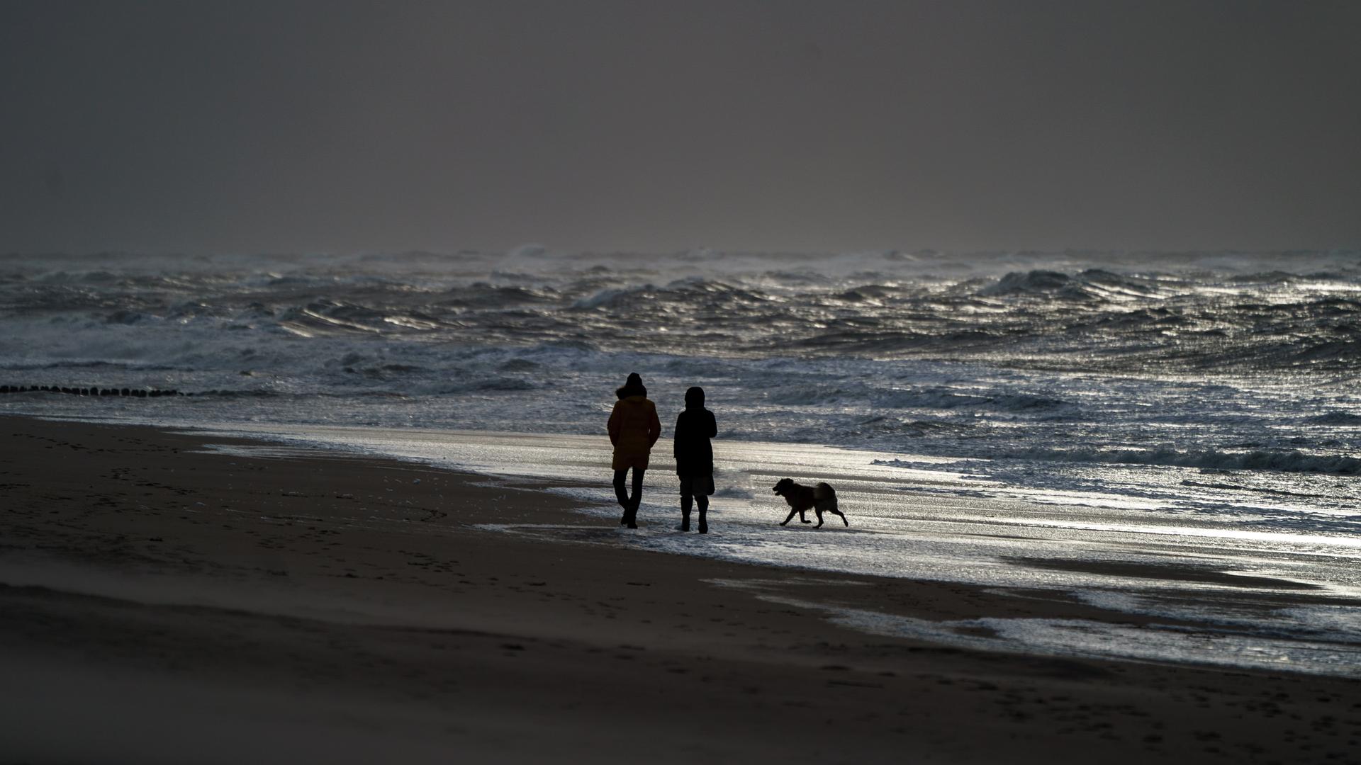 Ein Mann und eine Frau gehen mit einem Hund am Strand von Westerland entlang, an dem sich durch starke Sturmböen das Wasser zu hohen Wellen auftürmt. Ein Mann und eine Frau gehen mit einem Hund am Strand von Westerland entlang, an dem sich durch starke Sturmböen das Wasser zu hohen Wellen auftürmt.