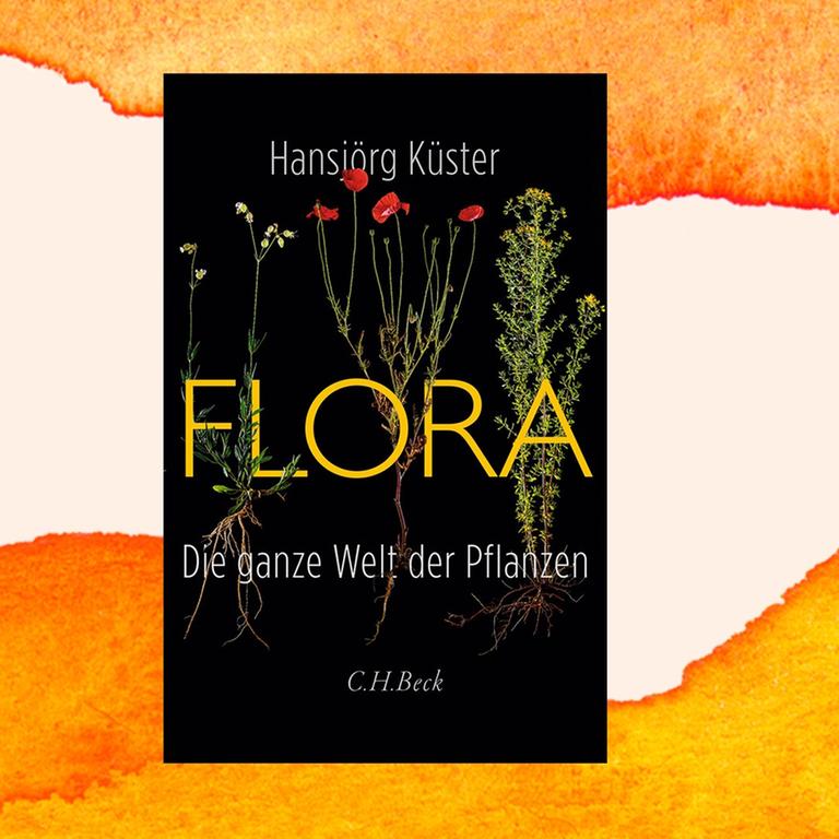 Hansjörg Küster: „Flora“ – Ein Leben ohne Pflanzen ist undenkbar