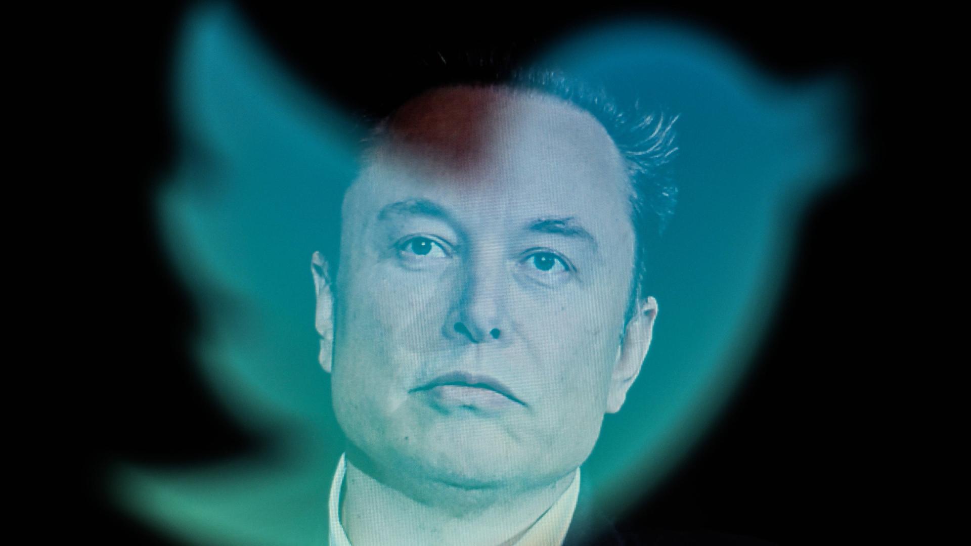 Das Gesicht von Twitter-CEO Elon Musk hinter dem Logo von Twitter.