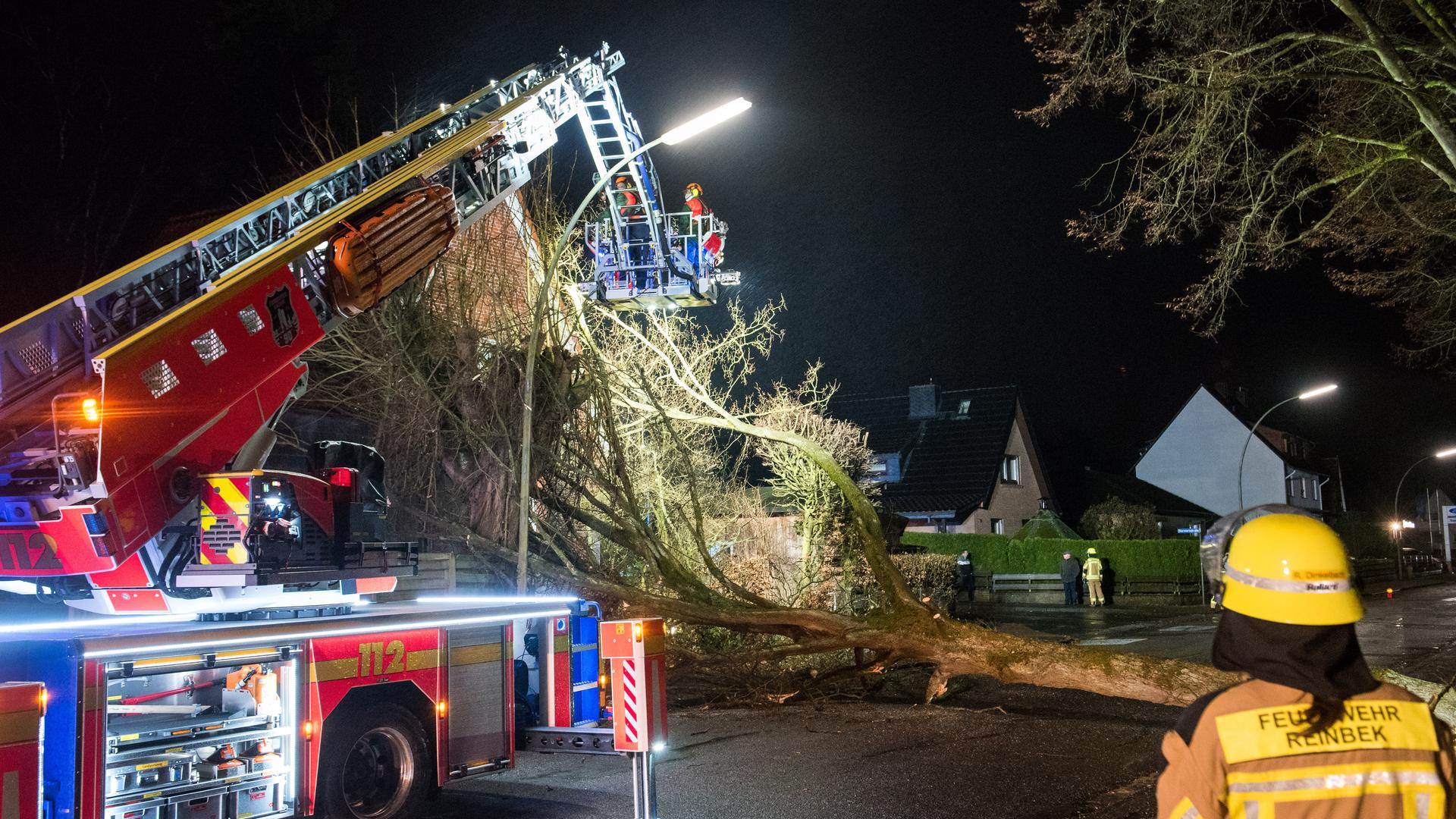 Feuerwehrleute zersägen einen großen Baum, der auf ein Wohnhaus gestürzt ist. Feuerwehrleute zersägen einen großen Baum, der auf ein Wohnhaus gestürzt ist.