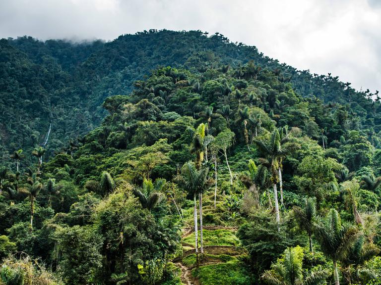Ciudad Perdida - die "Verlorene Stadt" - in Kolumbien 