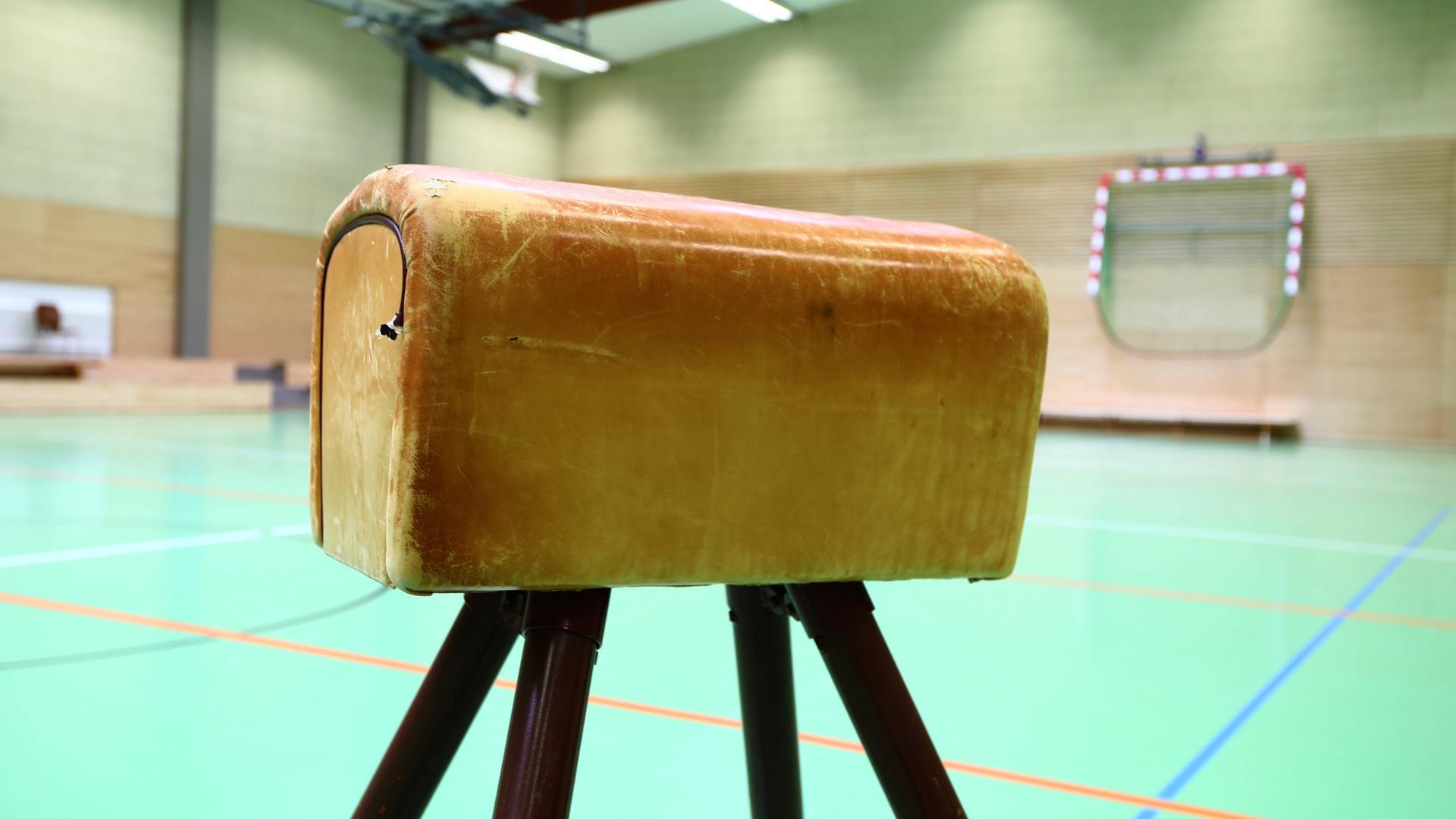 Ein Bock steht in einer Sporthalle. Ein Bock steht in einer Sporthalle.