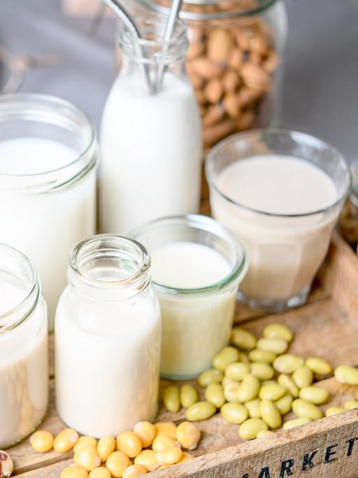 Verschiedene pflanzliche Milchsorten auf einem Tablett 